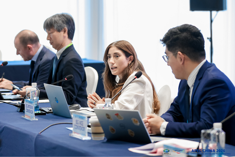 Economies Recast Investment Policy for a Changing Goal Landscape