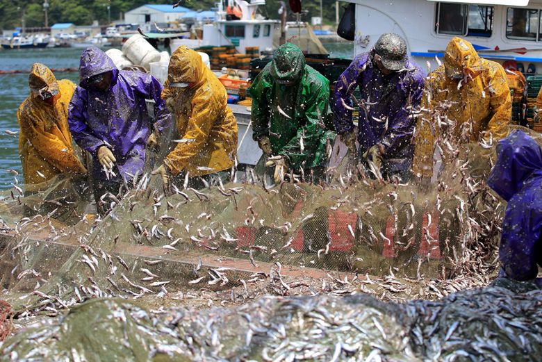 From Gyeongju to Busan: APEC Takes Key Steps Toward Sustainable and Resilient Marine Sector