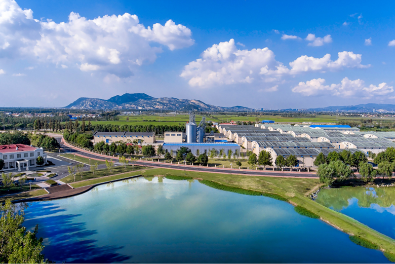 Administrator Liu: Innovation-Led Cooperation Crucial to Reinforce Food Security