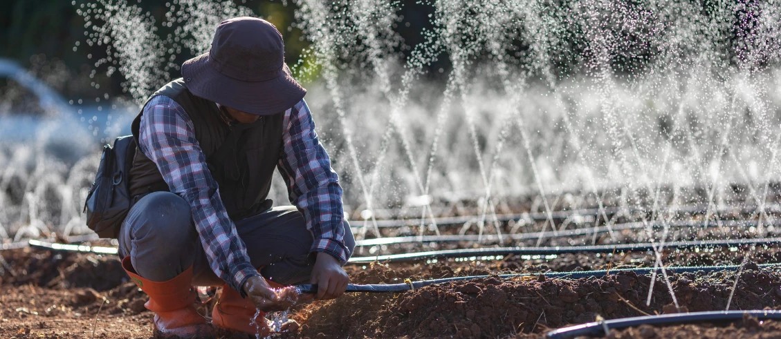 World Bank Blogs – The Trade Post