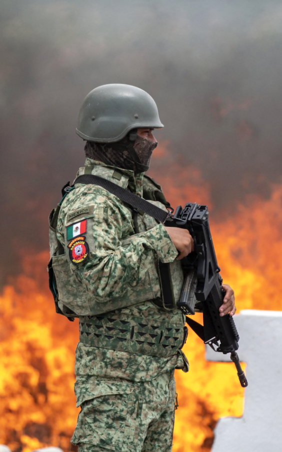 Mexico’s Long War: Drugs, Crime and the Cartels.
