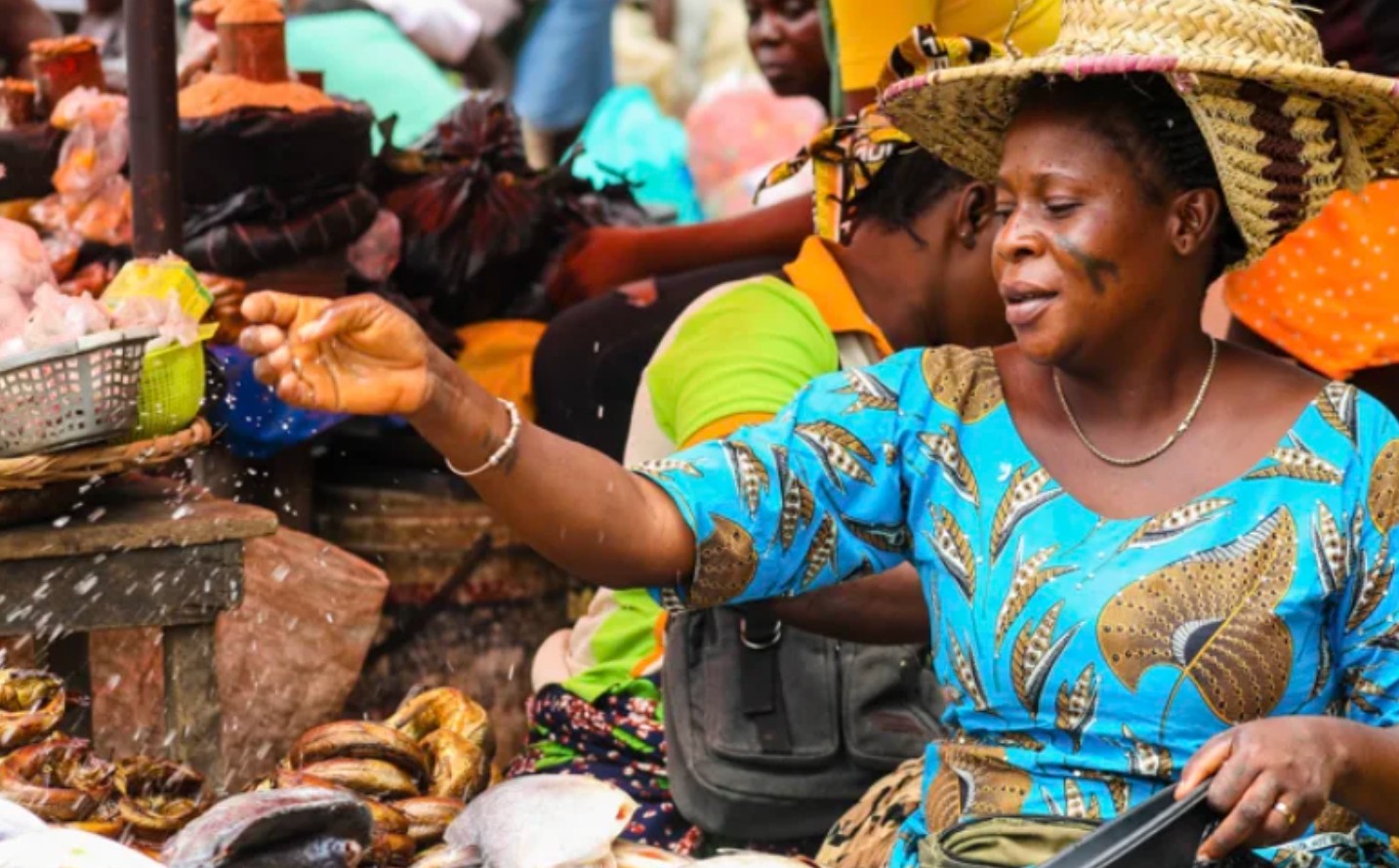 OECD – Sahel and West Africa Club (SWAC)