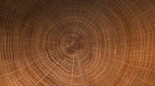 Can Advanced Economies Avoid Debt Distress?