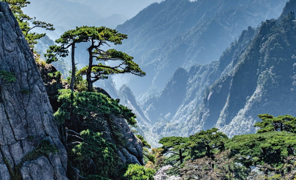 Pathways to Success: Global Insights for Enhancing the Effectiveness of China's Protected Area Governance and Management