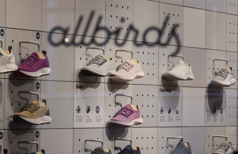 allbirds-Blommberg-UDLAP