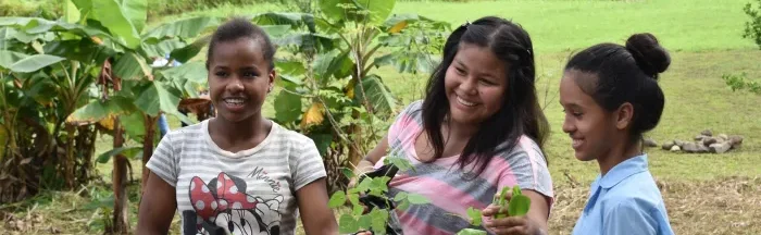 What You Need to Know About Green Schools