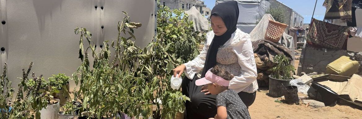 Reviving communities home by home in Gaza.