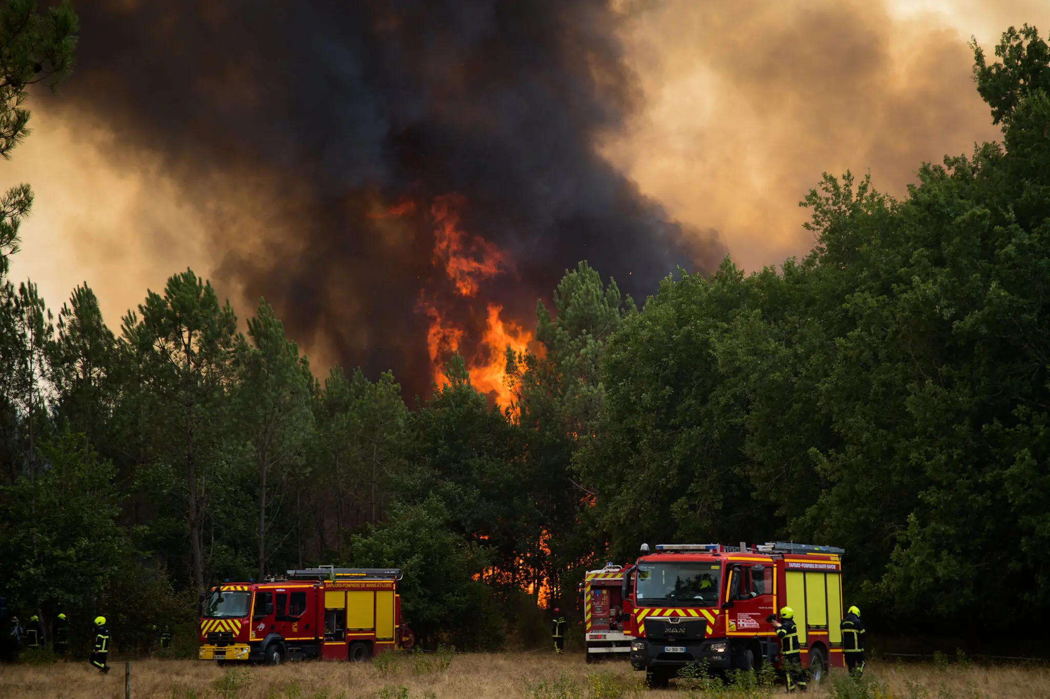 Europe Faces a Triple Crisis of War, Wildfires and Migration