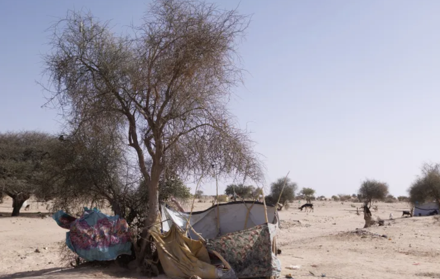 Chad Accuses Sudan of Air Strike Near Shared Border That Killed 12