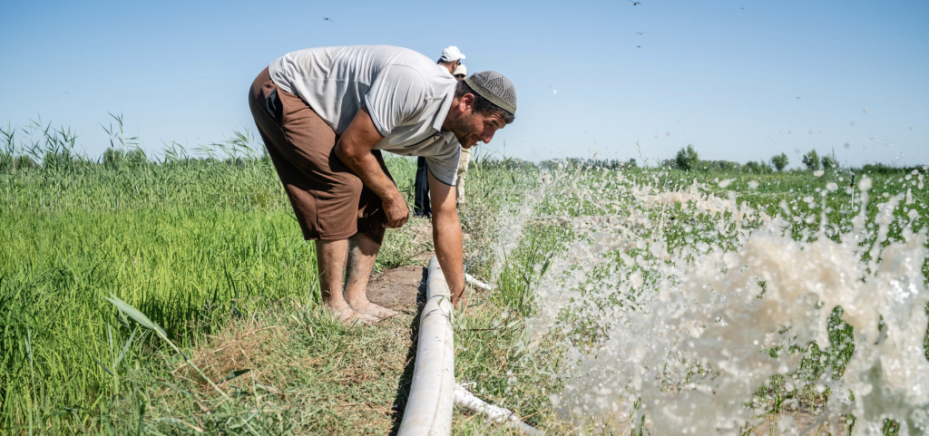 Declining Amou-Daria River Threatens Food Security in Uzbekistan
