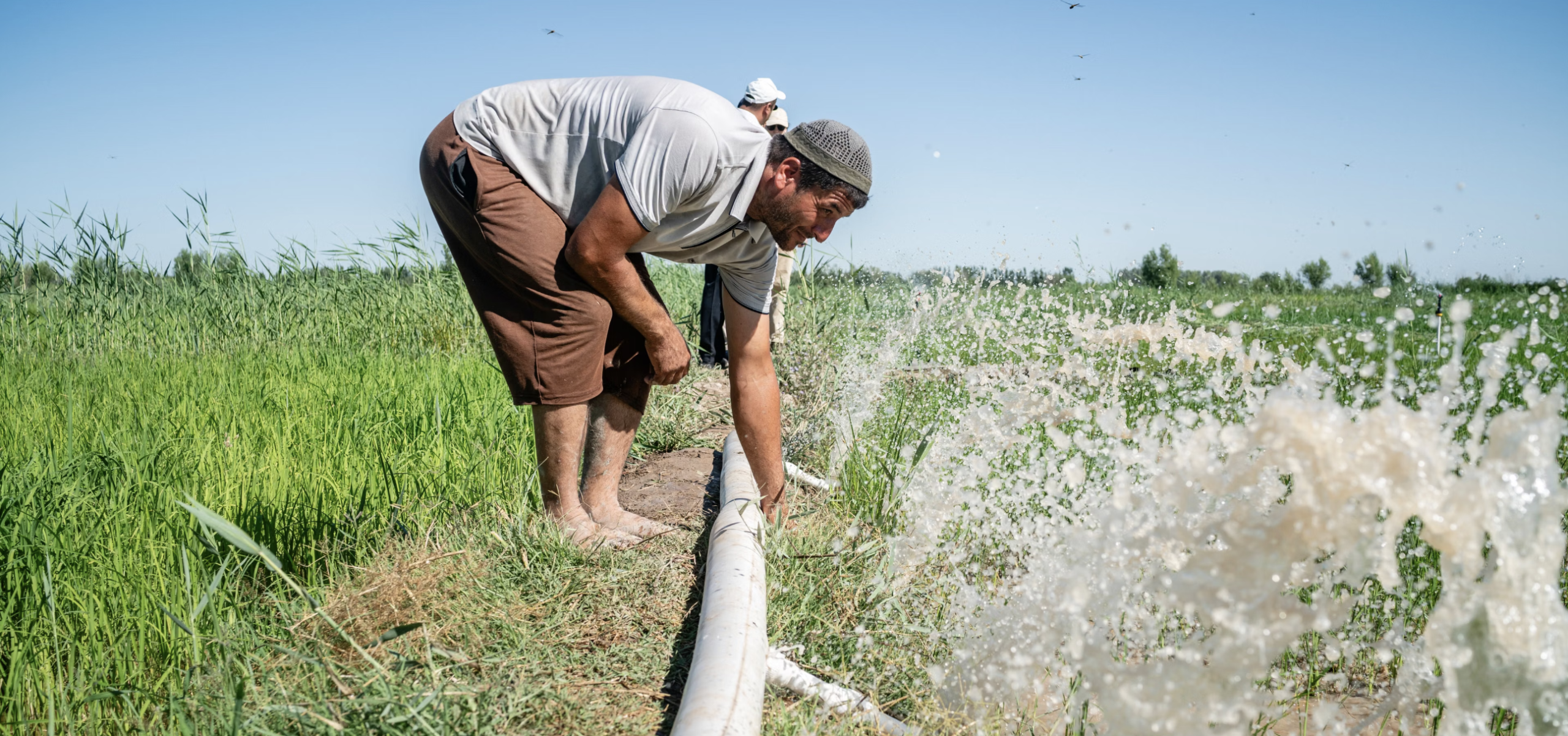 Declining Amou-Daria River Threatens Food Security in Uzbekistan