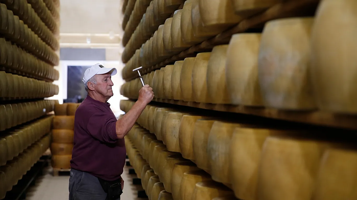 El calor extremo tensiona los “bancos de queso” italianos, donde el Parmigiano avala los créditos