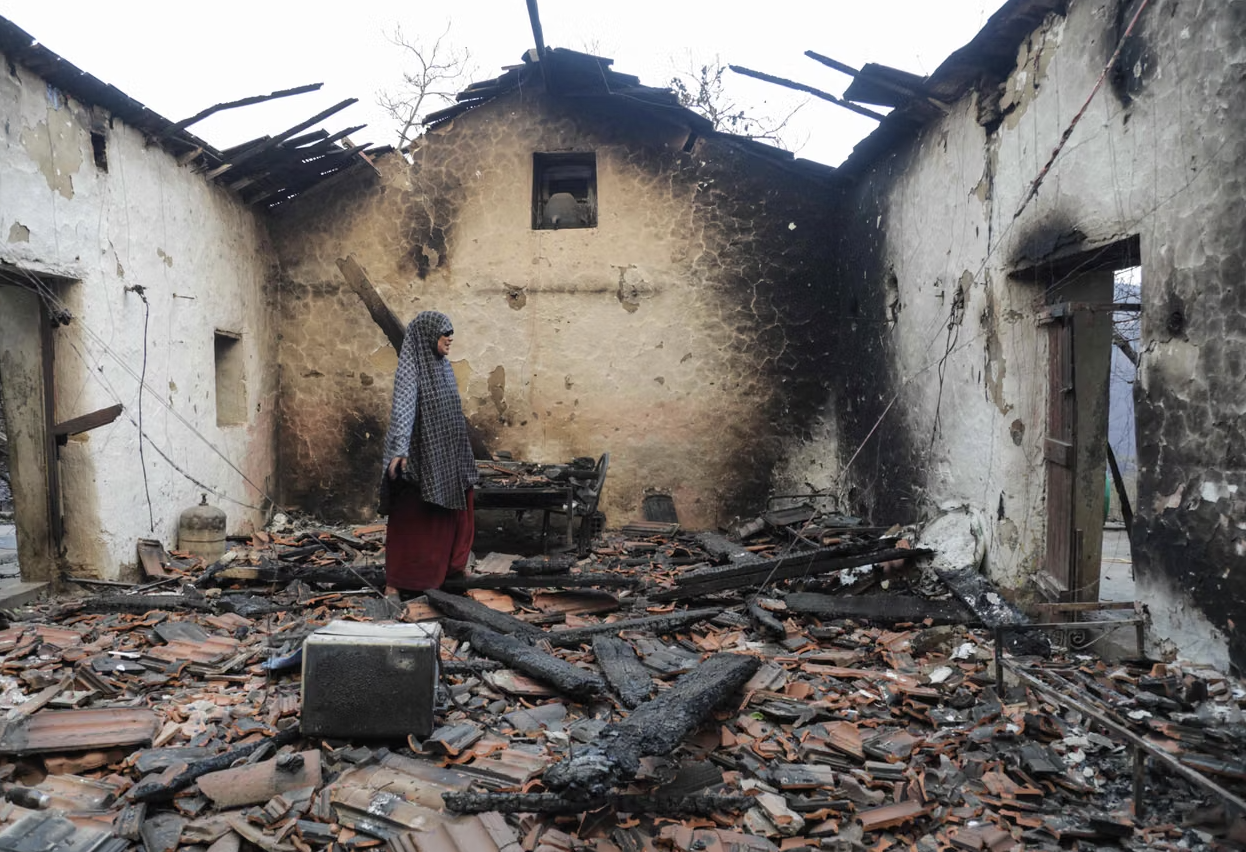 Algeria Wildfires Kill Hundreds
