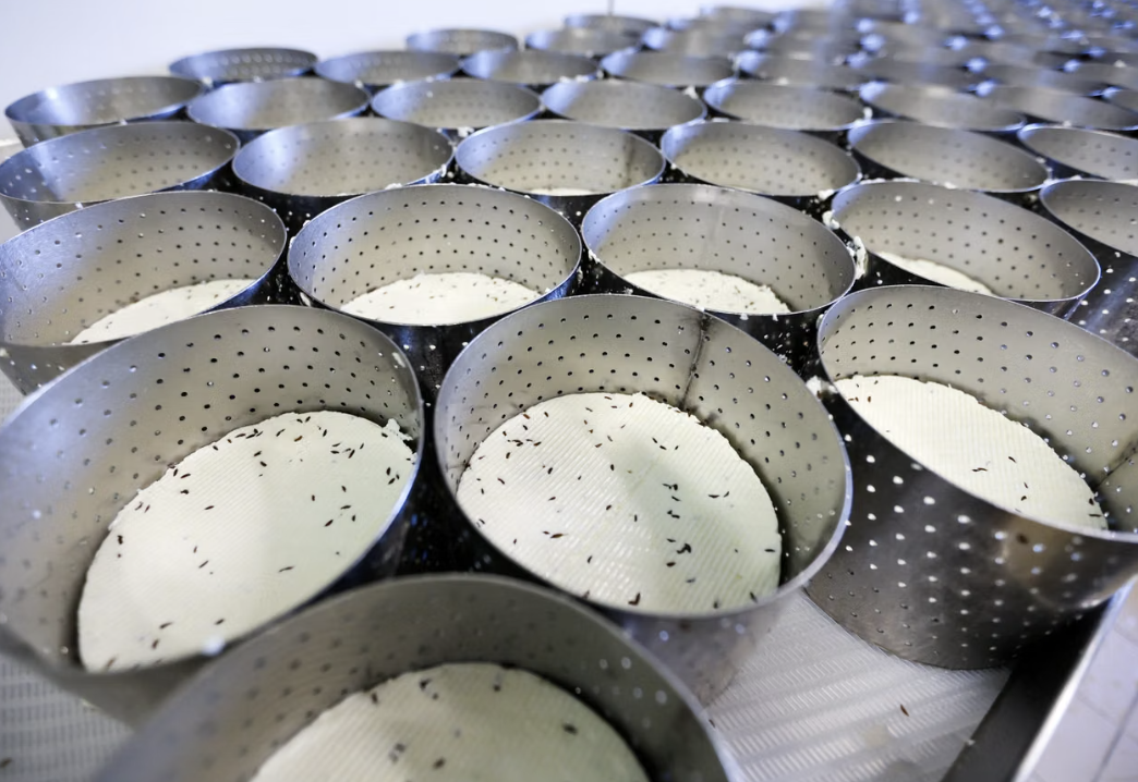 French Cheese Producers Fear Future After Scorching Summer