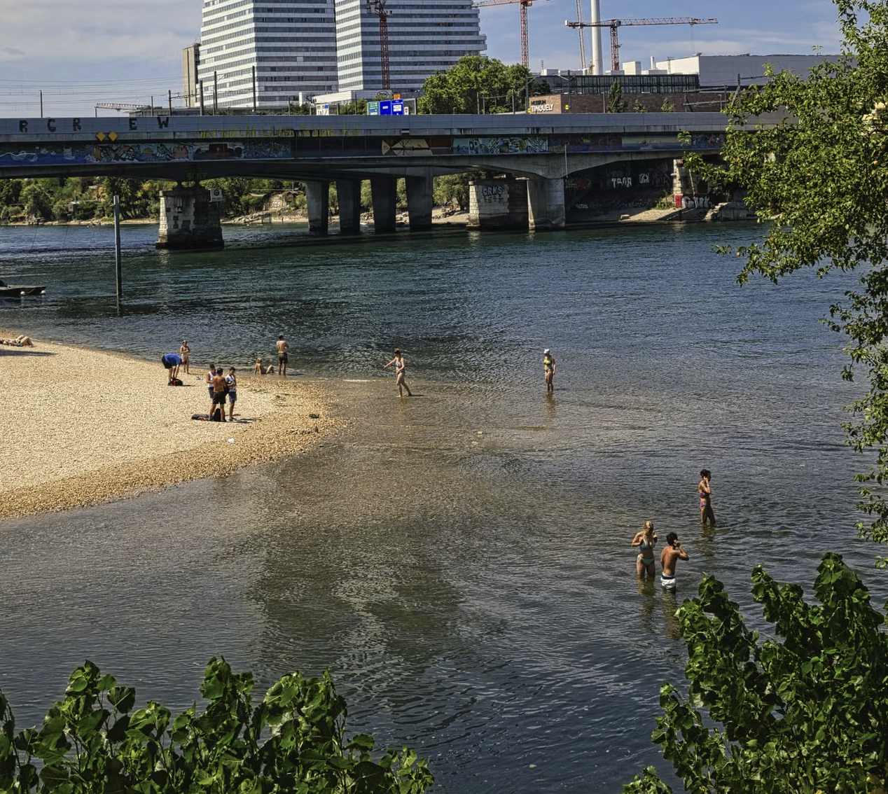 Drought Weakens Swiss Economy as Rhine Hits Record Lows