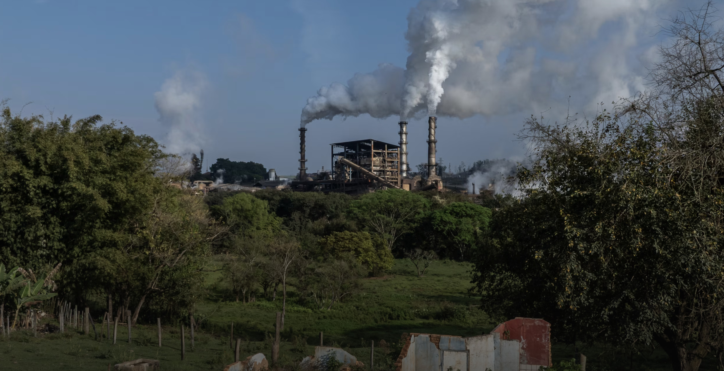 This Right-Wing Stronghold in Brazil Is Getting Pummeled by Trump’s Tariffs