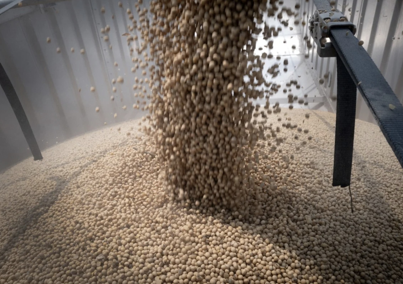 US soybean growers