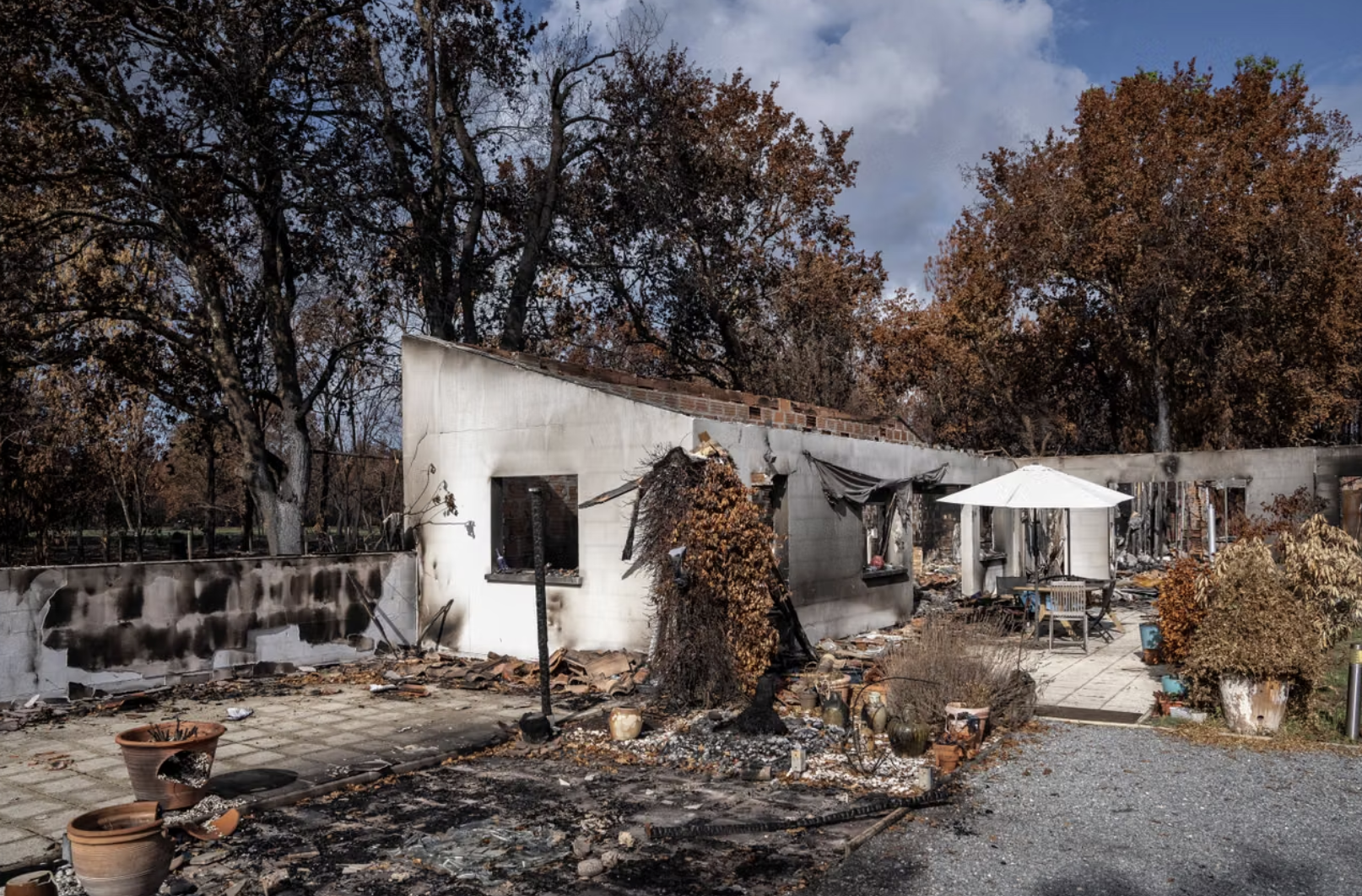 Cost of Wildfires in France Estimated at Nearly 500 Million Euros