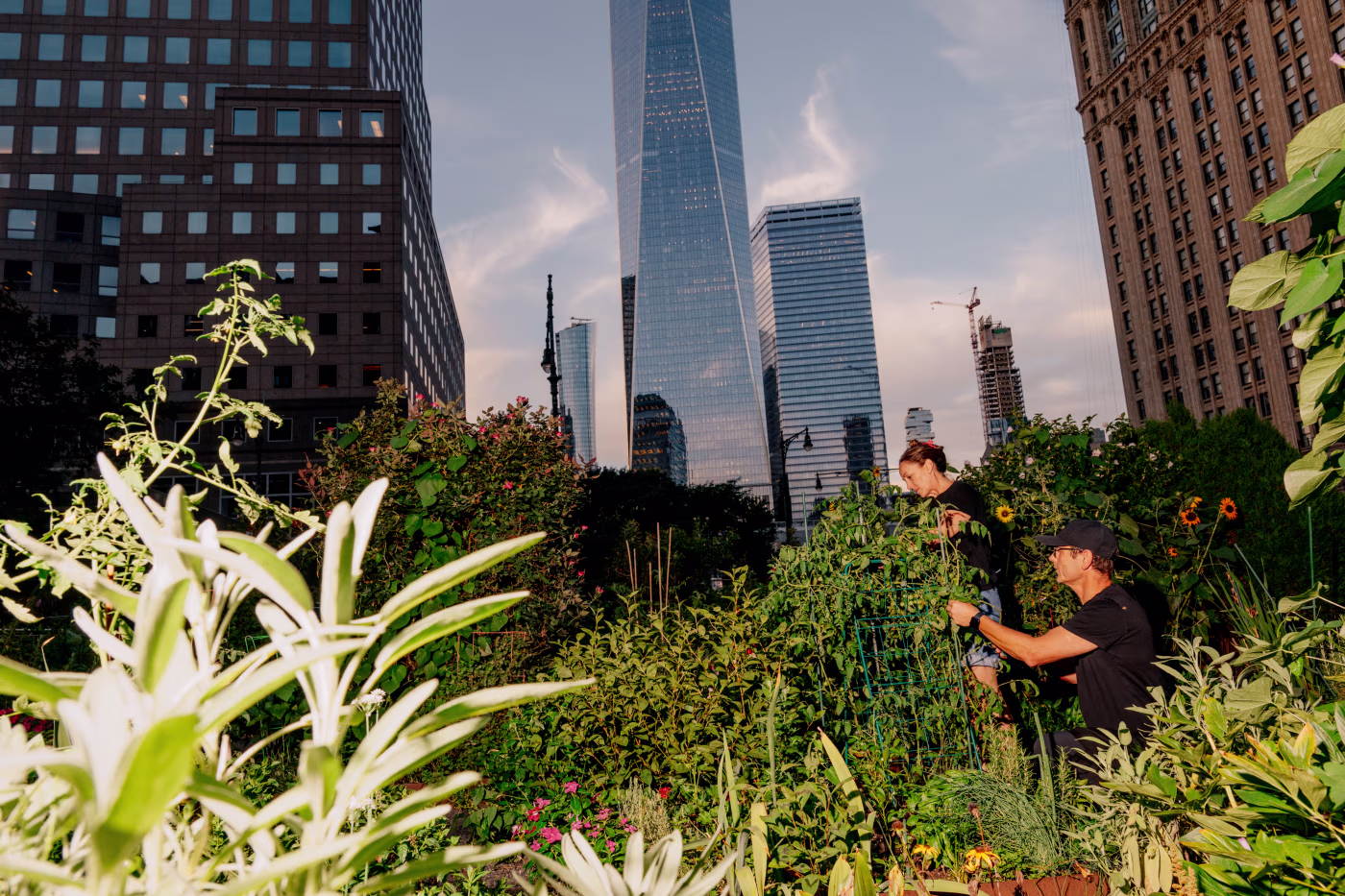 25 Years After 9/11, Lower Manhattan Emerges as a More Diverse Economic Hub