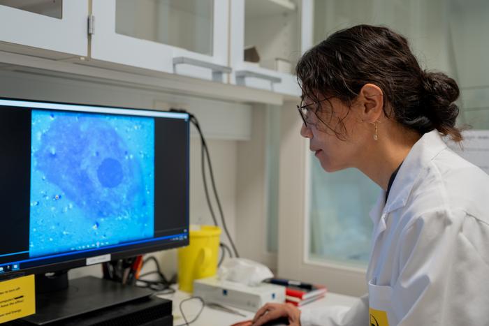 Injectable nanoparticles make blind retinas respond to light