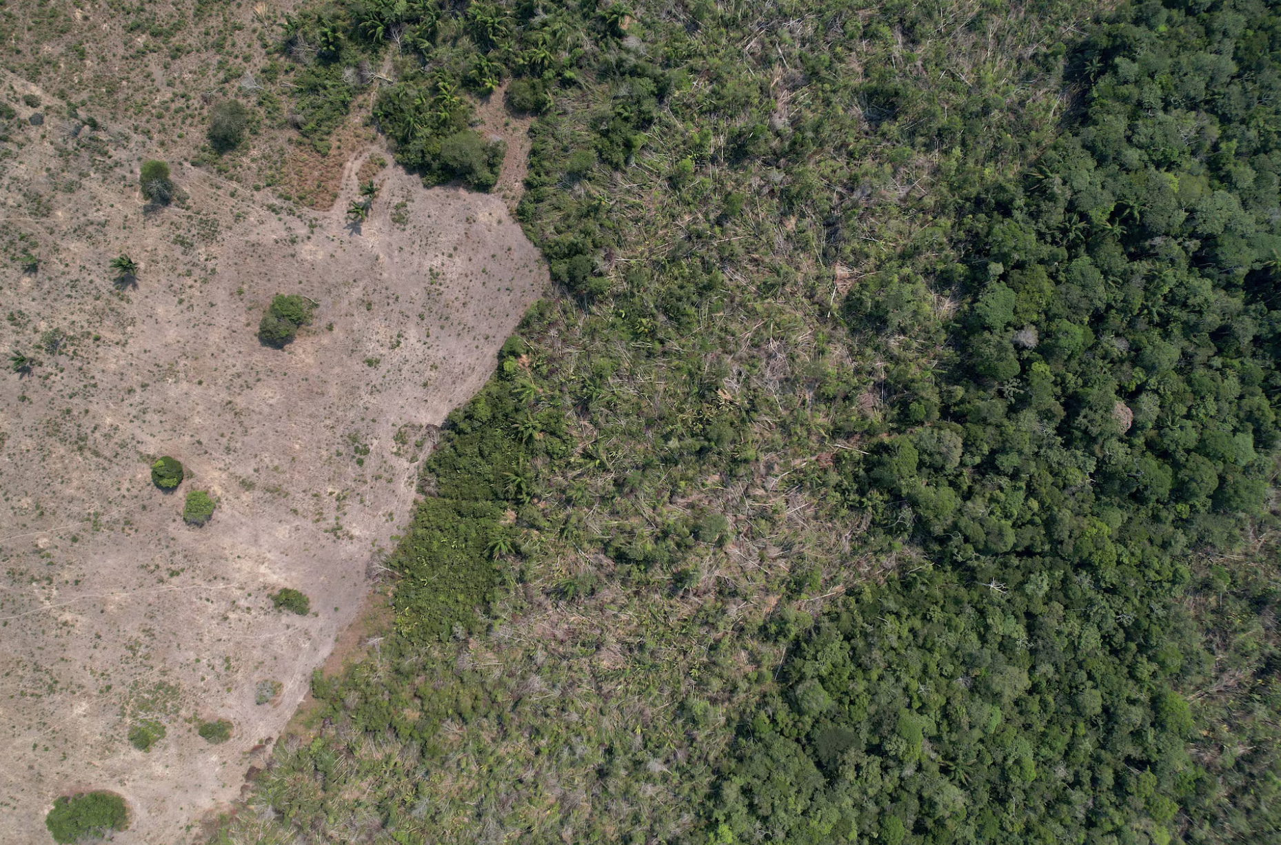 Brazil Reports Lowest Amazon Deforestation Rate in Nearly Four Decades