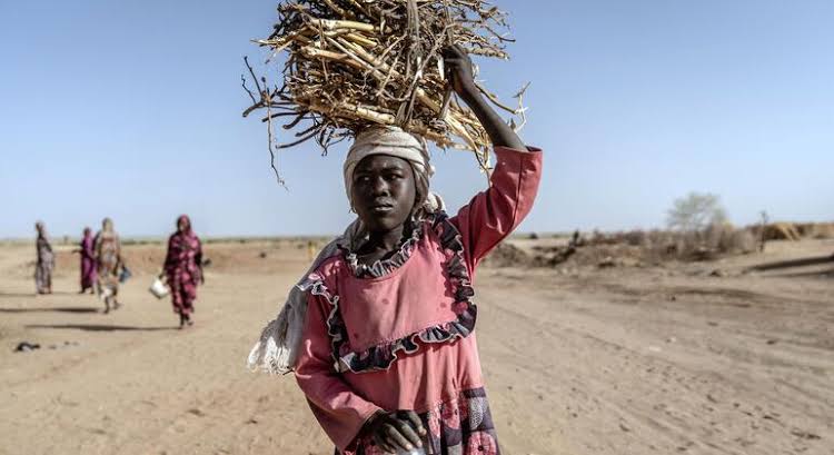 UN Warns of Severe Healthcare Shortages in Darfur as Security Council Extends